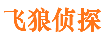 平定出轨调查